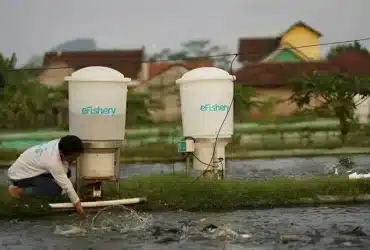 TEKNOLOGI E-FISHERY DALAM MEMBANGUN EKOSISTEM TEKNOLOGI PERIKANAN