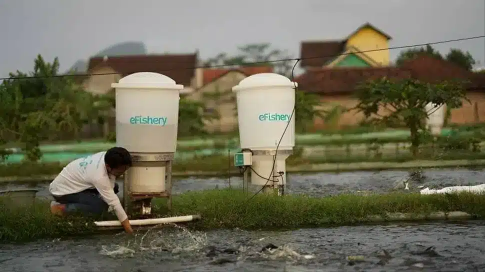 TEKNOLOGI E-FISHERY DALAM MEMBANGUN EKOSISTEM TEKNOLOGI PERIKANAN